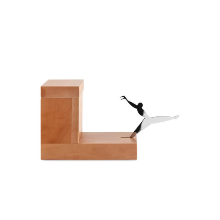 Distributeur de cure dents