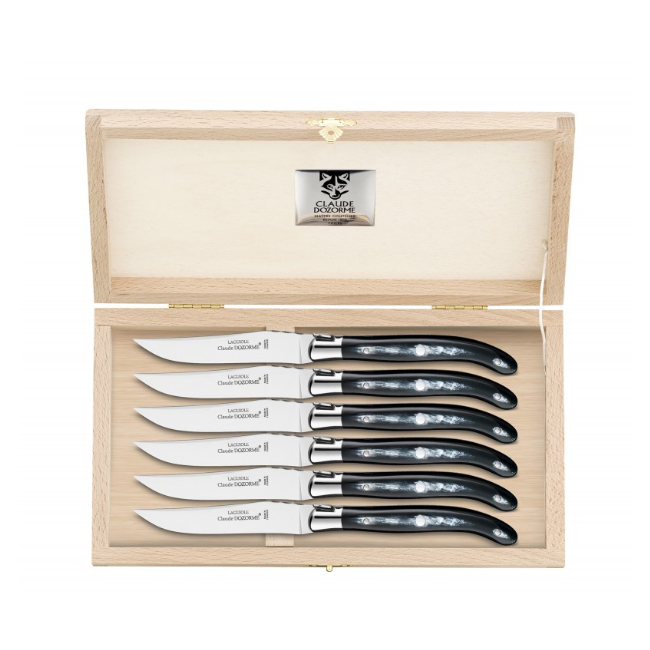 Laguiole coffret 5 couteaux de cuisine acier noir