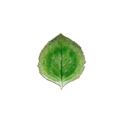 Petite assiette feuille Hortensia verte