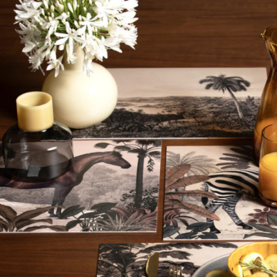 set-de-table-vinyle-motifs-braza-podevache
